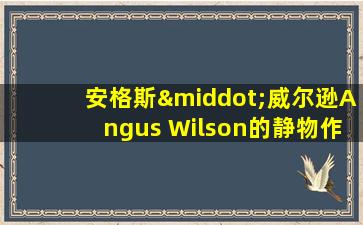 安格斯·威尔逊Angus Wilson的静物作品